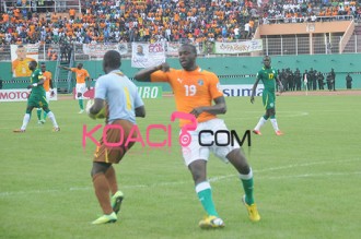 Mondial 2014 :  La FIF promet  9 millions à  chaque éléphant